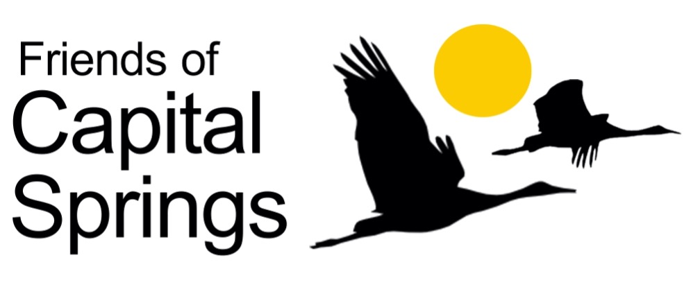 Friends of Capital Springs logo