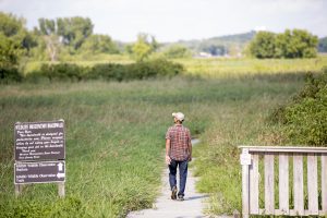 Man hiking and walking the boardwalk to go birdwatching in the District's Wildlife Observation Area.
