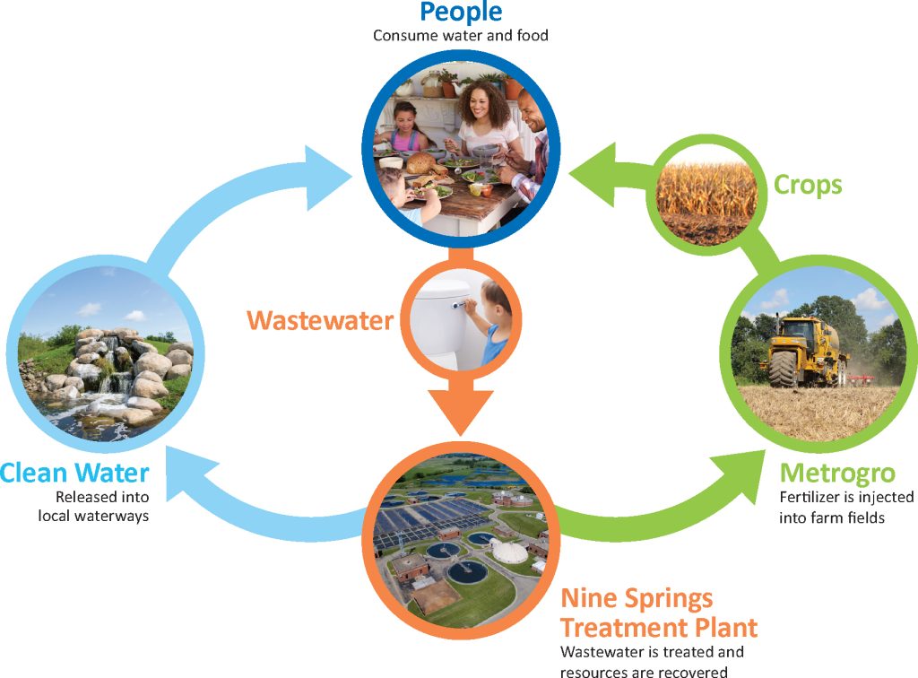 The water resource cycle from people to wastewater to the District to both clean water and Metrogro. Clean water goes back to people; Metrogro biosolids goes on crops and back to people.