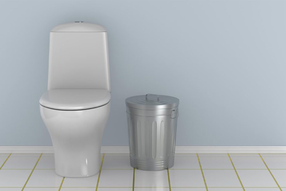 Bathroom toilet and trash can for non-flushables and unflushables, like wipes.