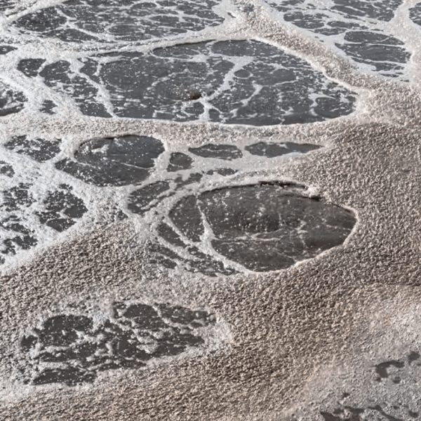 'Twas in the pipes... - Madison Metropolitan Sewerage District