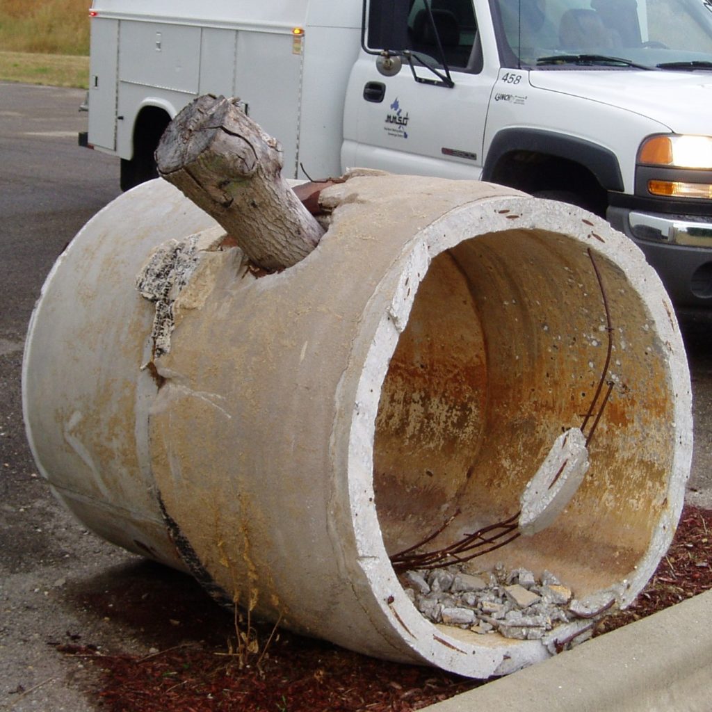 A section of concrete forcemain pipe with a tree limb as a temporary repair to damage.