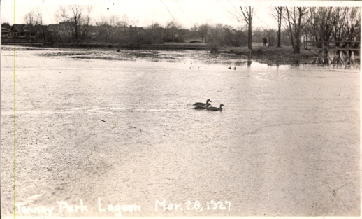 Birds swim in Madison's Tenney Park lagoon in a historical photo dated March 28, 1927, while leaders discussed chemical treatment options.