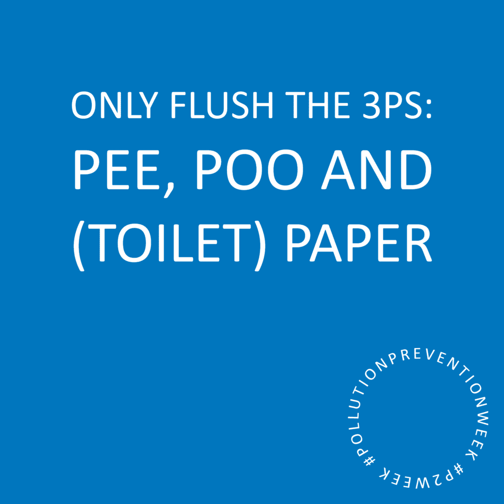 Only Flush the 3Ps: Pee, Poo and (Toilet) Paper #PollutionPreventionWeek #P2Week