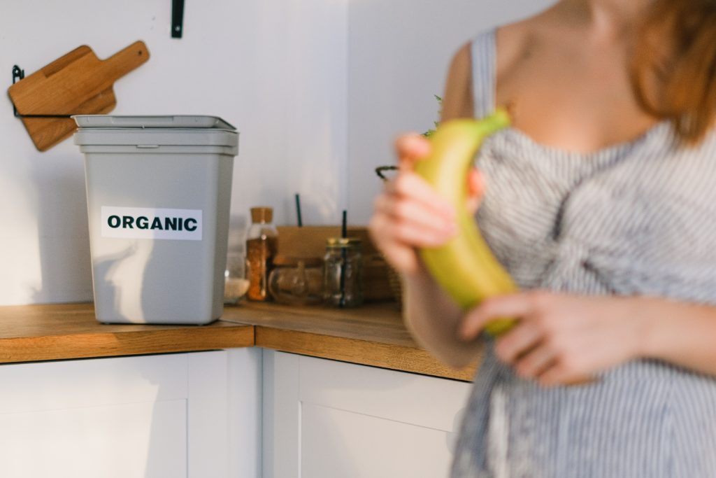 An organic compost bin on a kitchen counter for flushables and composting education to protect your pipes.