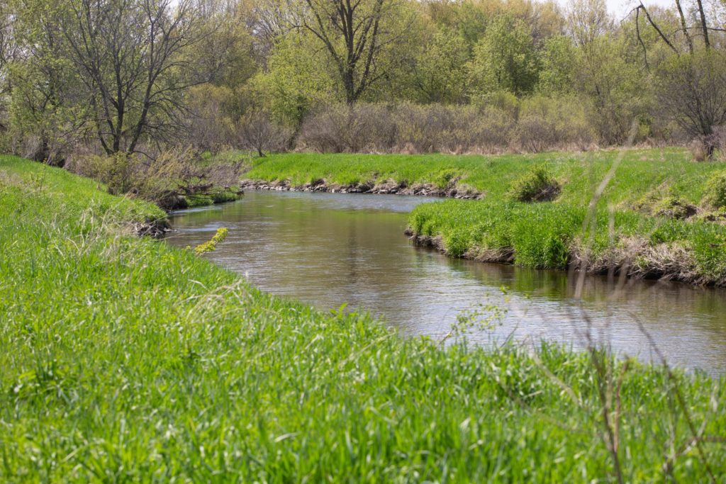 Vegetation Stream Buffer Nonpoint Phosphorus