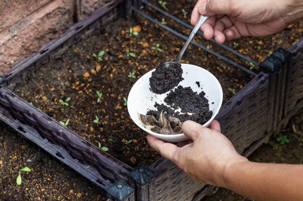 Hands holding a bowl of coffee grounds spoon the food waste into a compost bin instead of a garbage disposal.