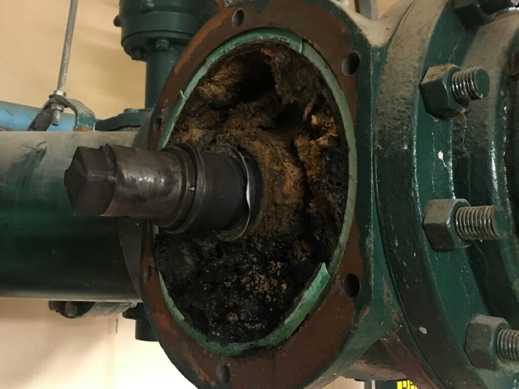 Struvite buildup caused a few valves to become completely plugged, keeping them from operating properly.