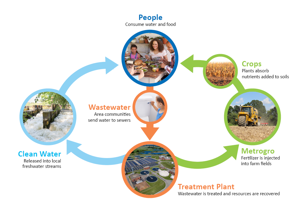 A graphic of the Metrogro cycle, from people to the wastewater treatment plant, to field crops.