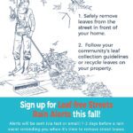 An image of the Leaf-free Streets flyer for homeowners and home inspectors.