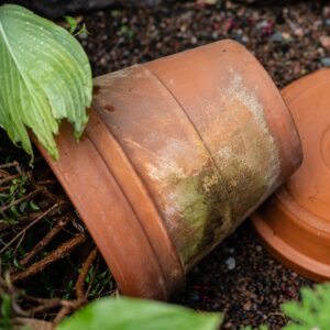 A terracotta pot with staining - 1:1 square.