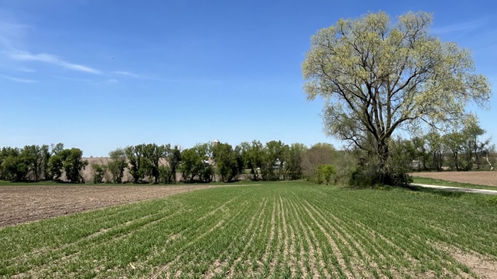 2024 Ywins Agriculture Field