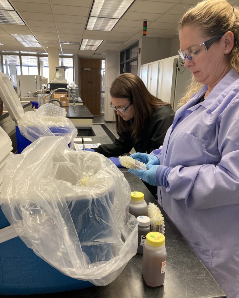 Chemist Kris Mazzuca and lab manager Mary Powers work quickly to check and pack the samples before the courier comes. “It’s definitely a race at this point,” says Mary.