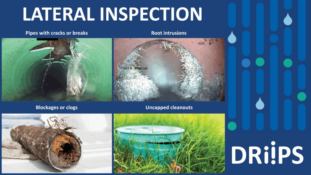 A DRIIPS graphic showing four different sources of I&I from sewer laterals with the words "lateral inspection".