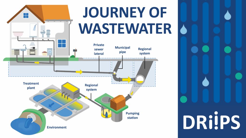 A DRIIPS graphic showing the journey of wastewater from a private building, through the collection system and to the treatment plant.
