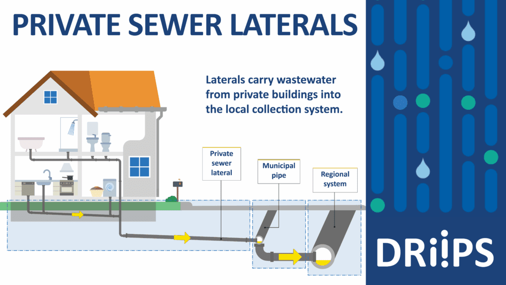 A DRIIPS graphic showing how sewer laterals carry wastewater from private buildings into the local collection systems.