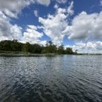 A view of the water and shoreline on Upper Mud Lake.