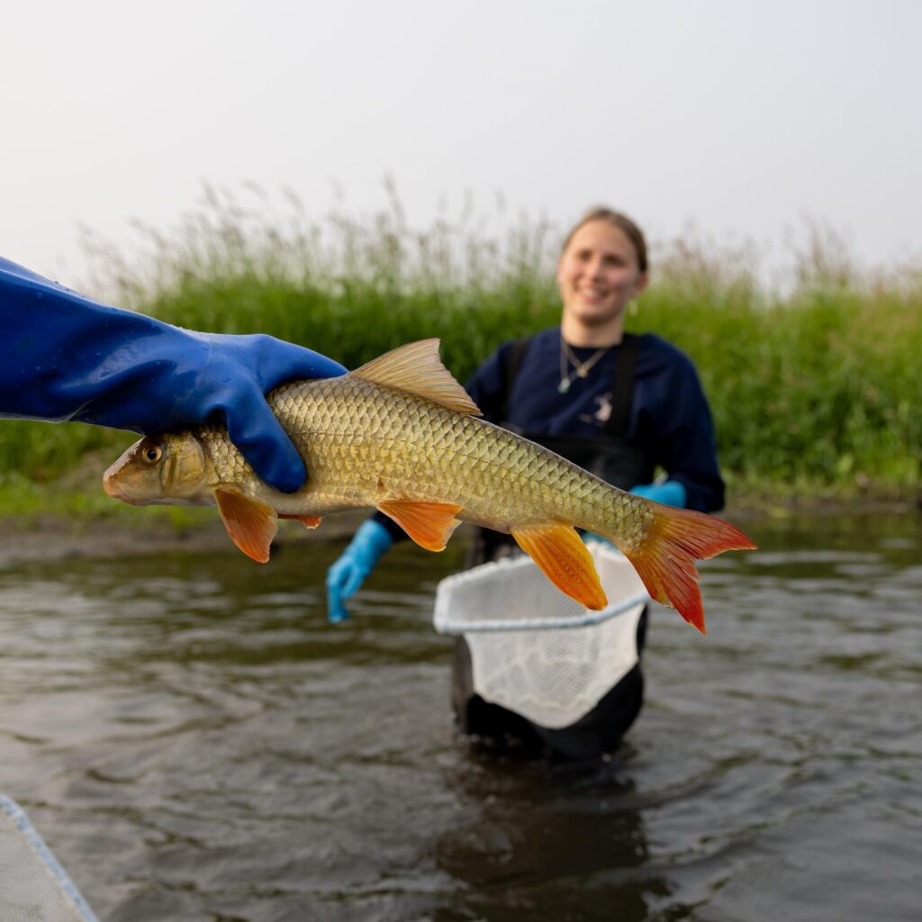 Fish Survey 2