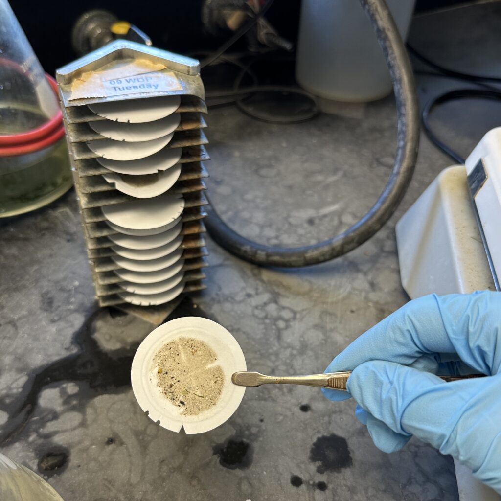 A chemist holds a filter with solids residue for TSS analysis.