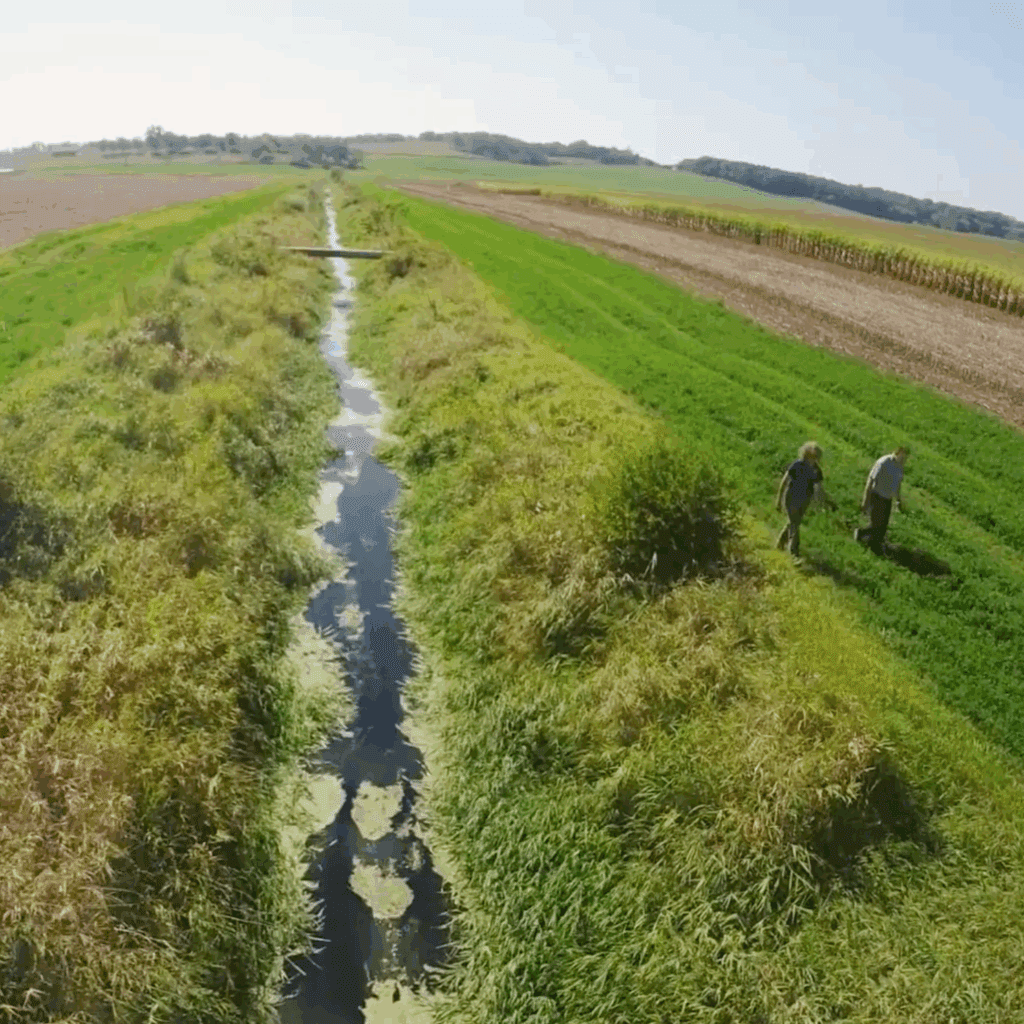 Wins Field Creek 1×1