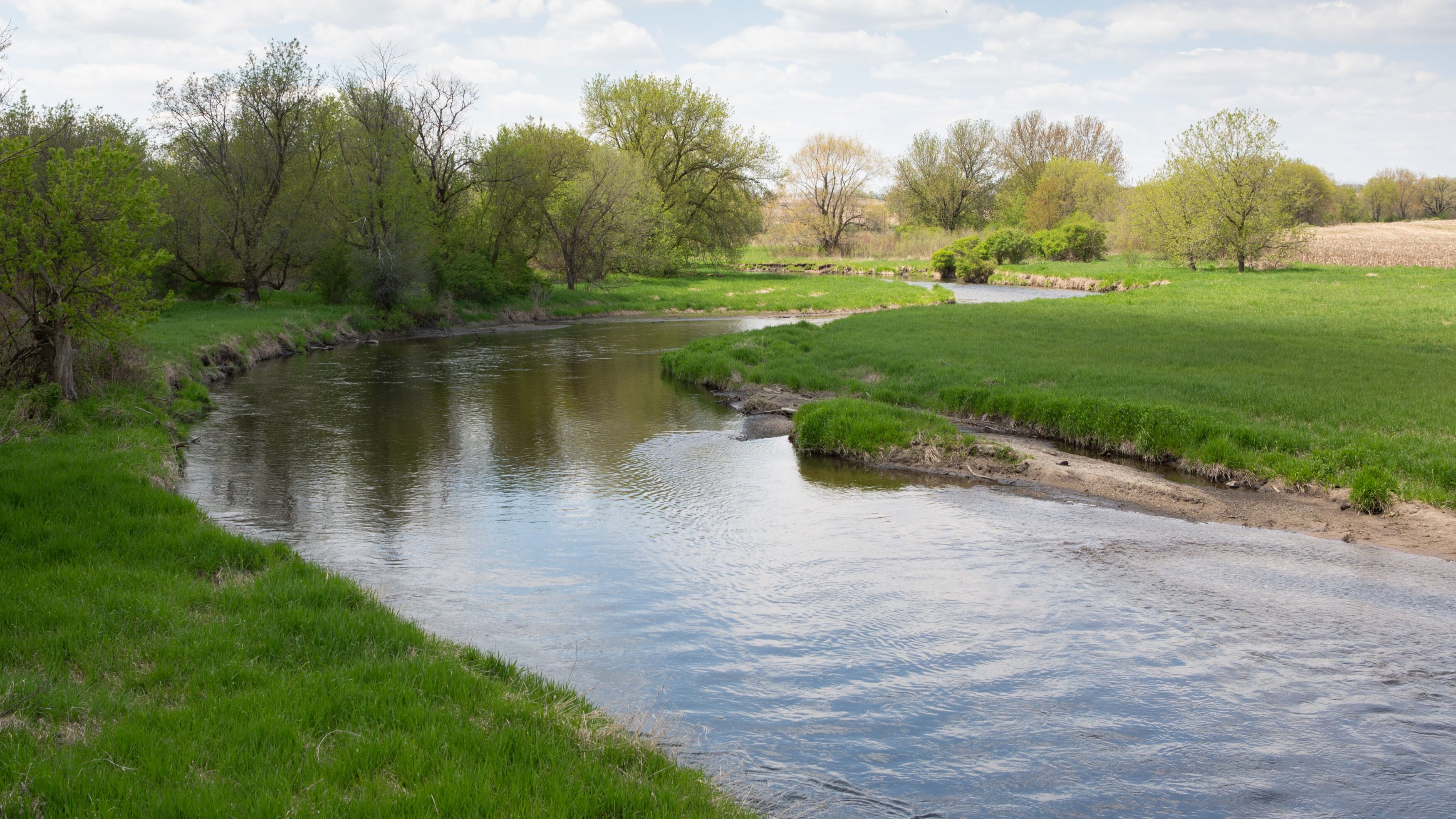 Vegetation buffers along Badfish Creek helps absorb nutrient runoff from agriculture before it reaches the waterway as part of the program's adaptive management strategies.